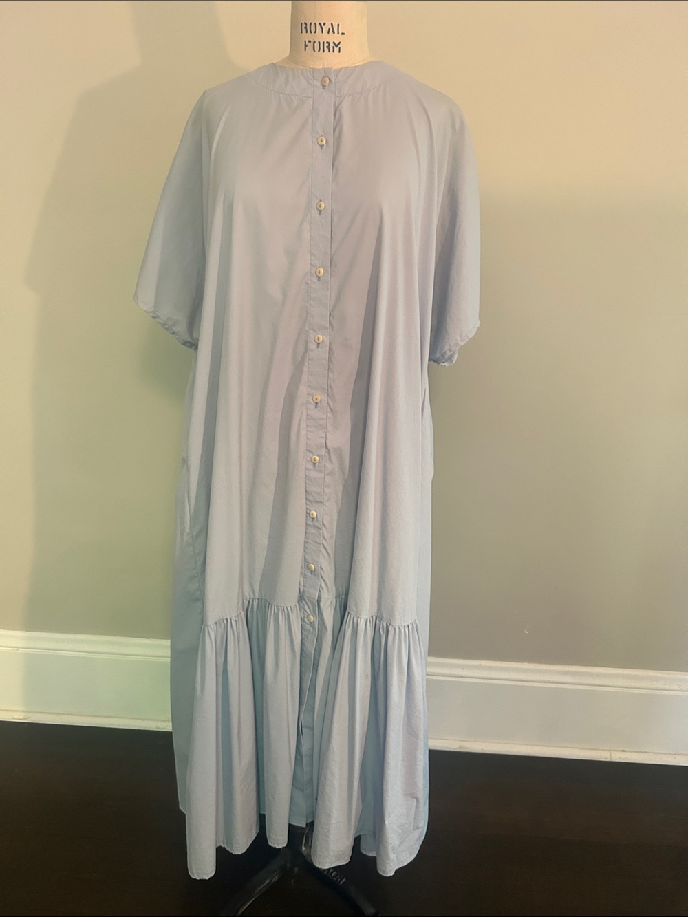 Mr. Larkin Light Blue Button-Front Dress
